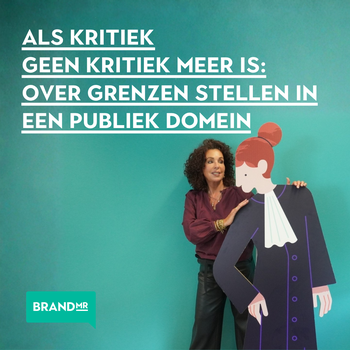Blog-publieke-kritiek-Nienke-van-Osch LinkedIn v2