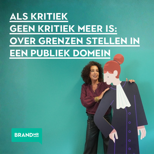 Blog-publieke-kritiek-Nienke-van-Osch LinkedIn v2