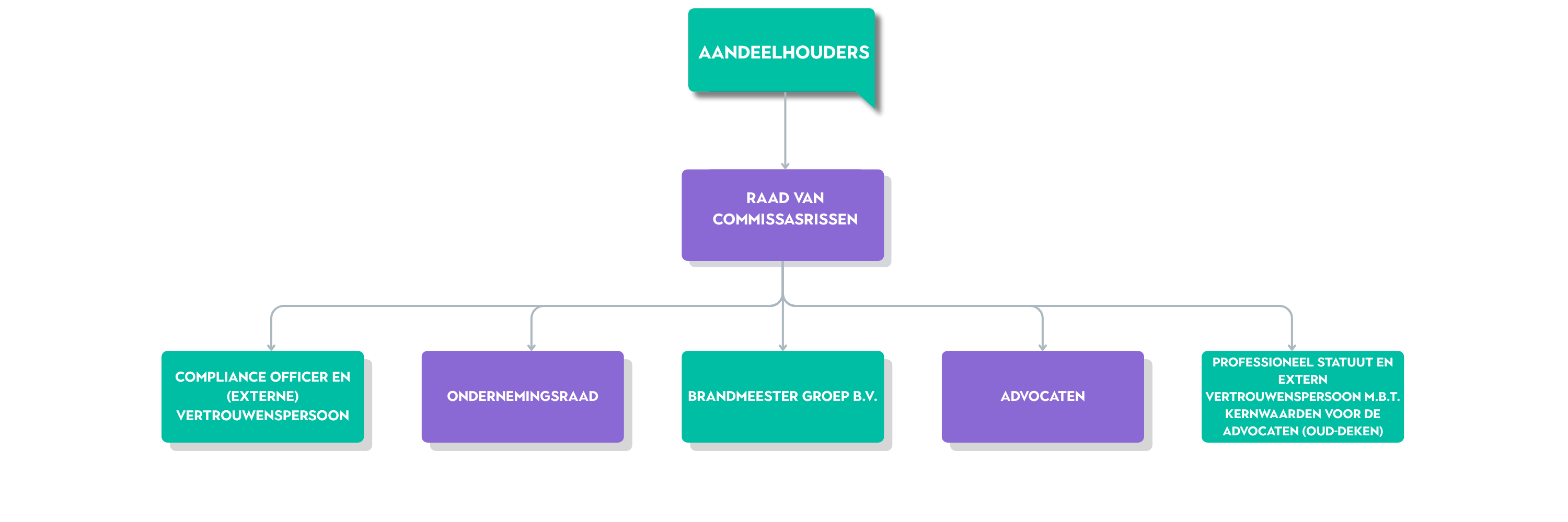 Organogram BrandMR Groep 3