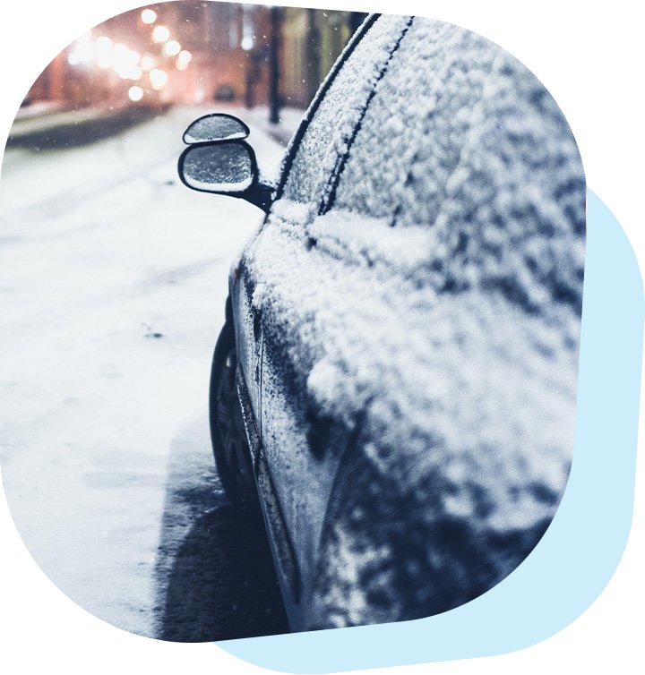 Labd_Pals-winter