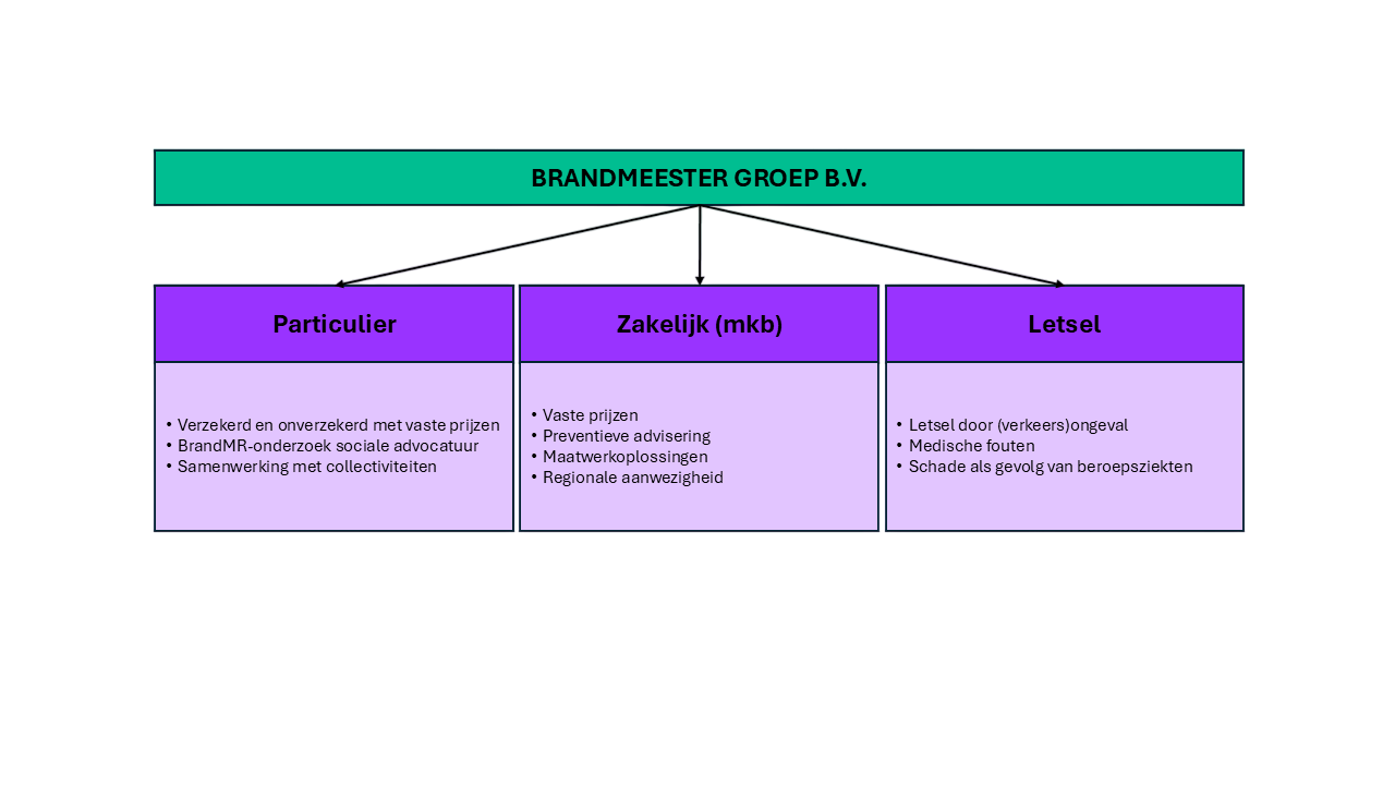 Organisatorische inrichting BrandMR Groep BV
