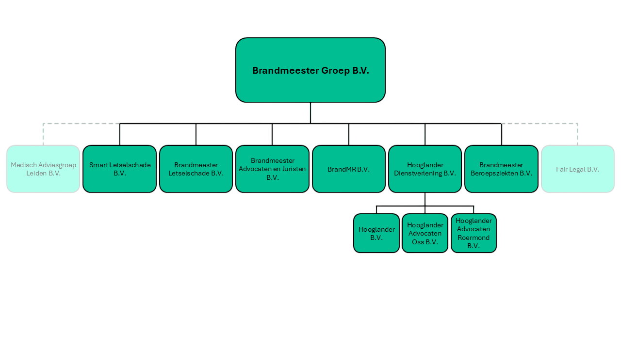 Organogram BrandMR Groep