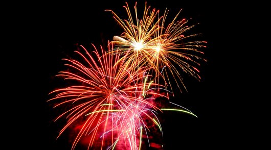 Gebeten door een hond tijdens de feestdagen: wat zijn je rechten?