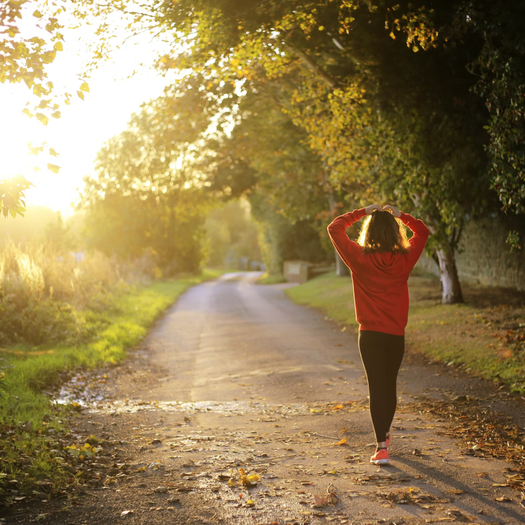 Wandelen in natuur (square)